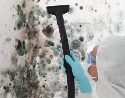 Best Mold Damage Restoration  in Colon, MI